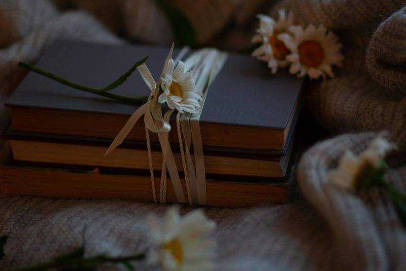 Københavns Bogbinderi - Image 3