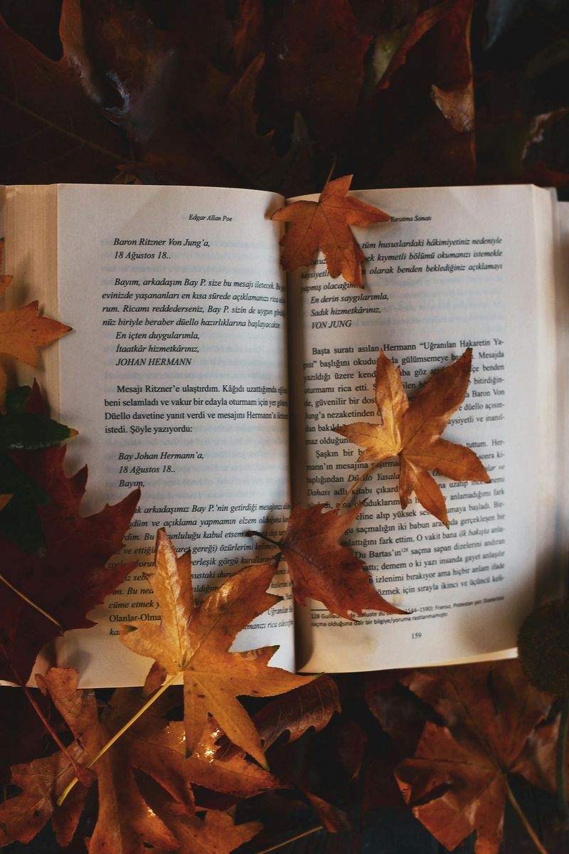 Reparation af skadede bøger